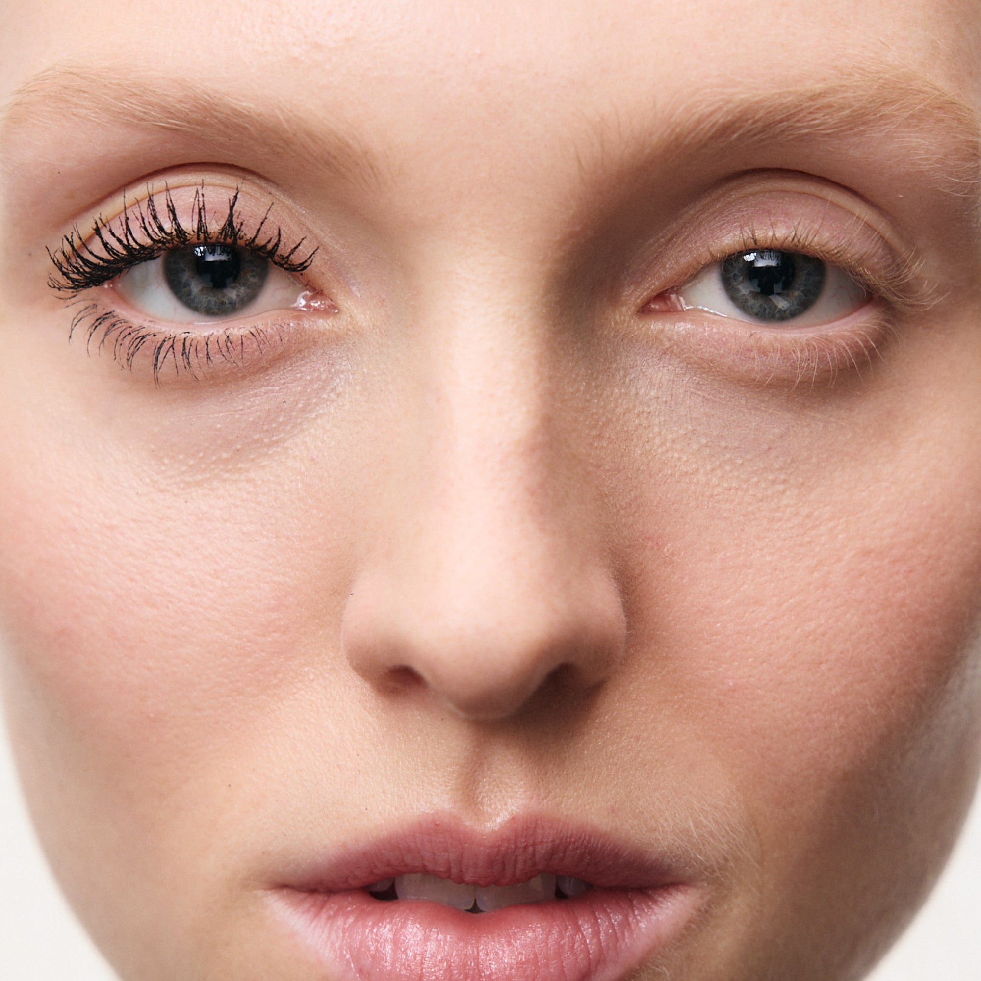 CleanVolume-Claims-Model.jpg