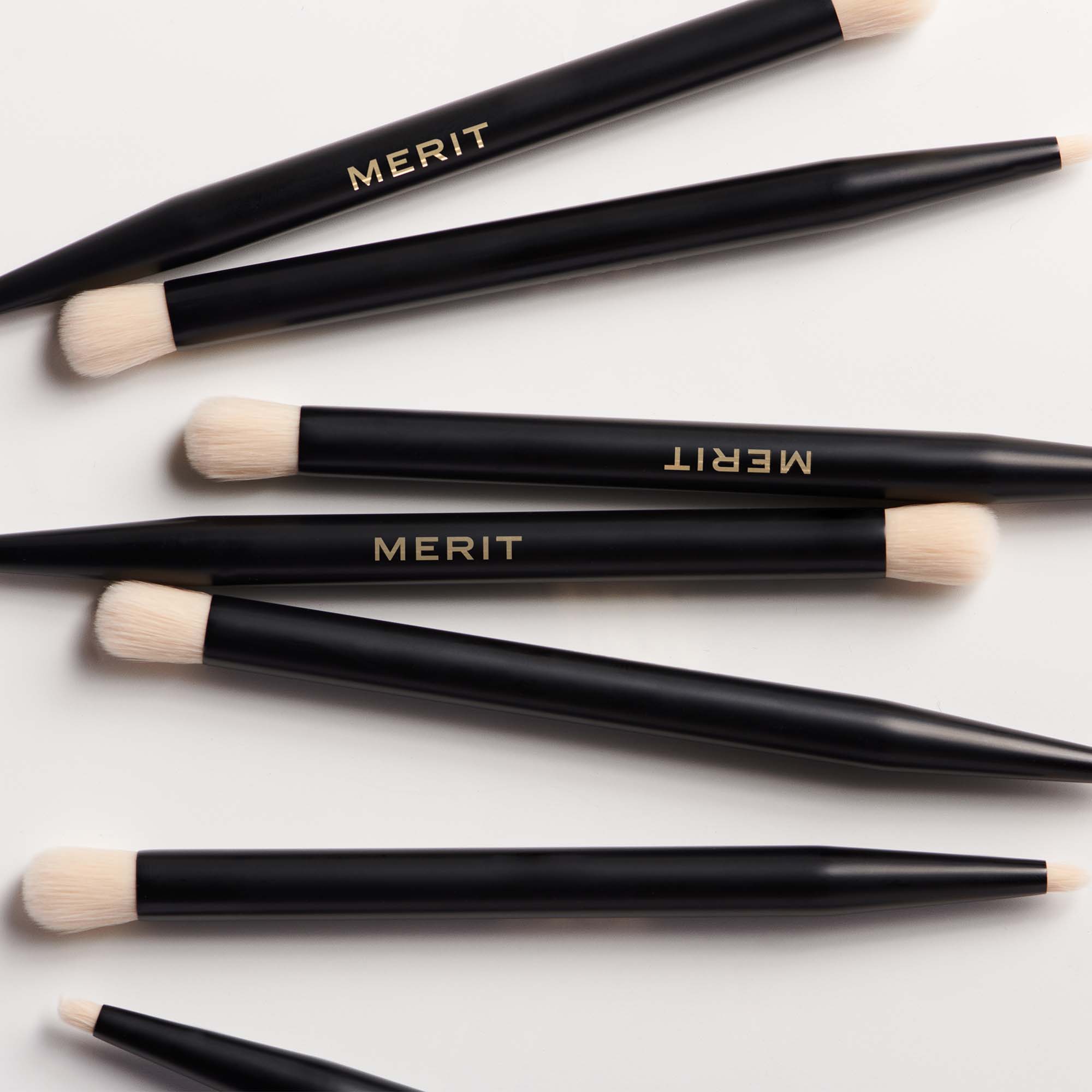 MERIT23_BrushNo2_BrushGroup.jpg