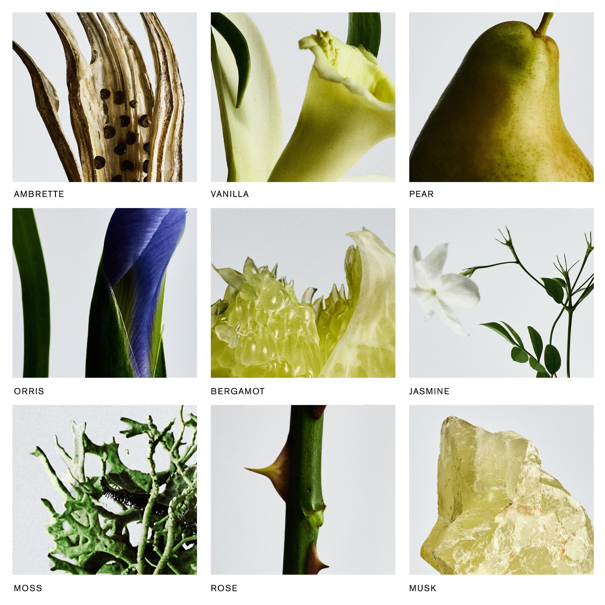 Retrospect-Ingredients.jpg